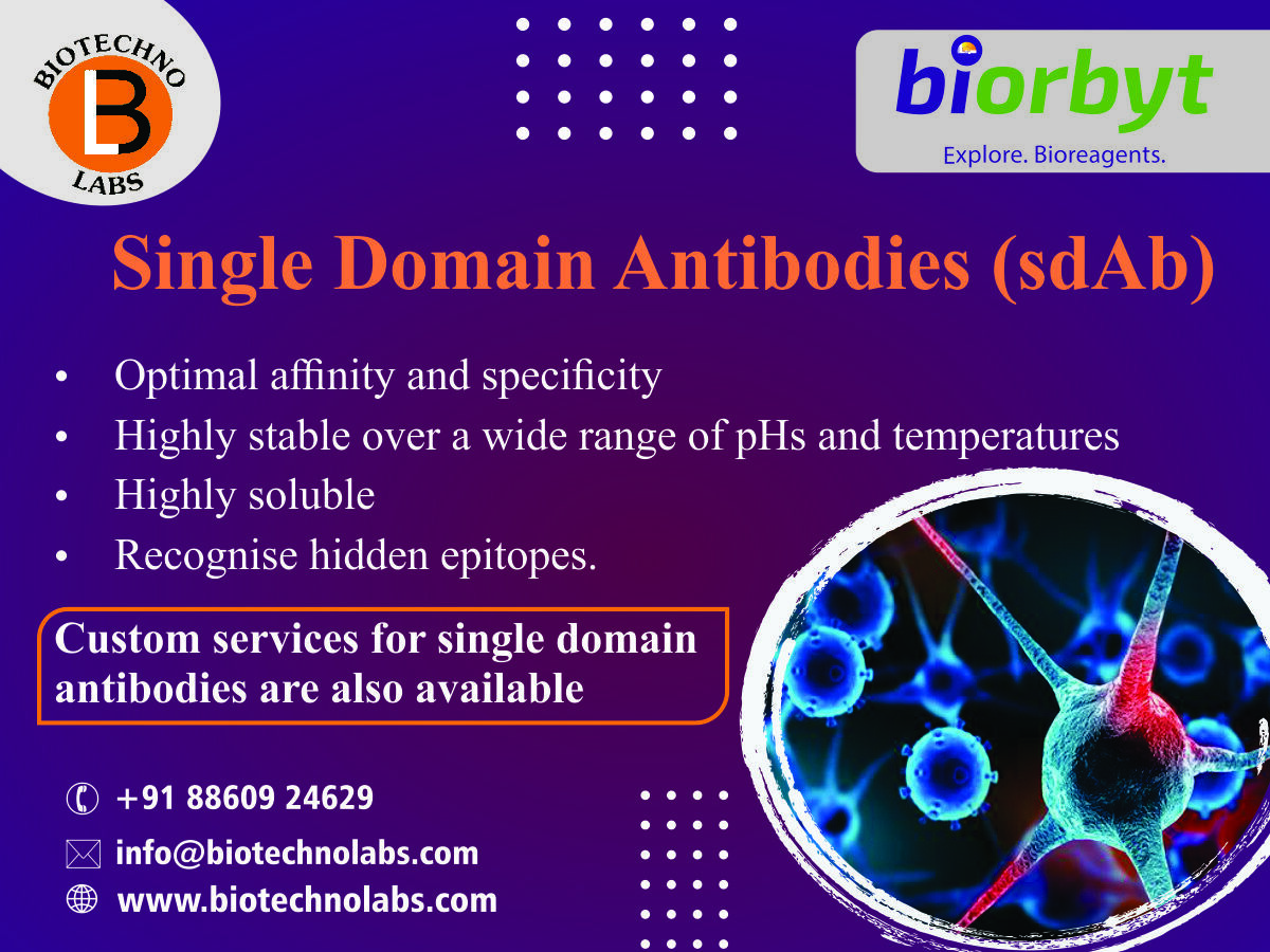 Single domain antibodies (sdAb)