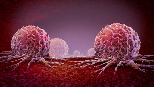 Unraveling the Complexity of Cancer: Insights into Molecular Mechanisms and Targeted Drug Therapies