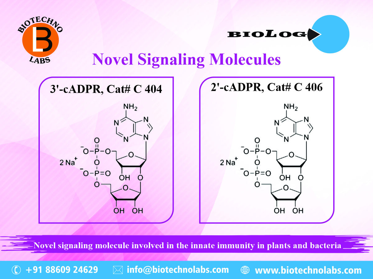 Novel Signaling Molecules | Biolog