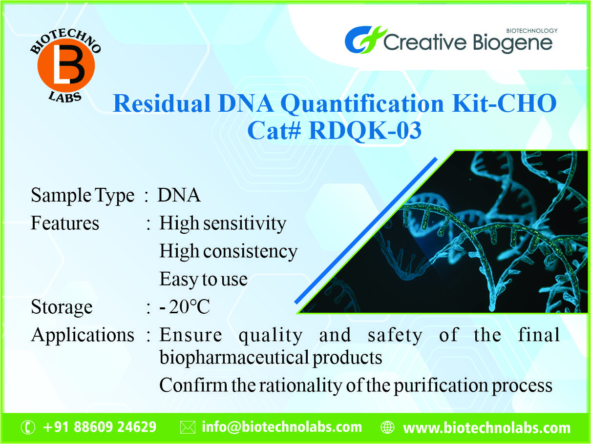Residual DNA Quantification Kit-CHO