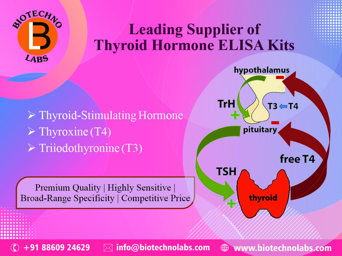 Thyroid-stimulating hormone (thyrotropin, thyrotropic hormone, or abbreviated TSH)