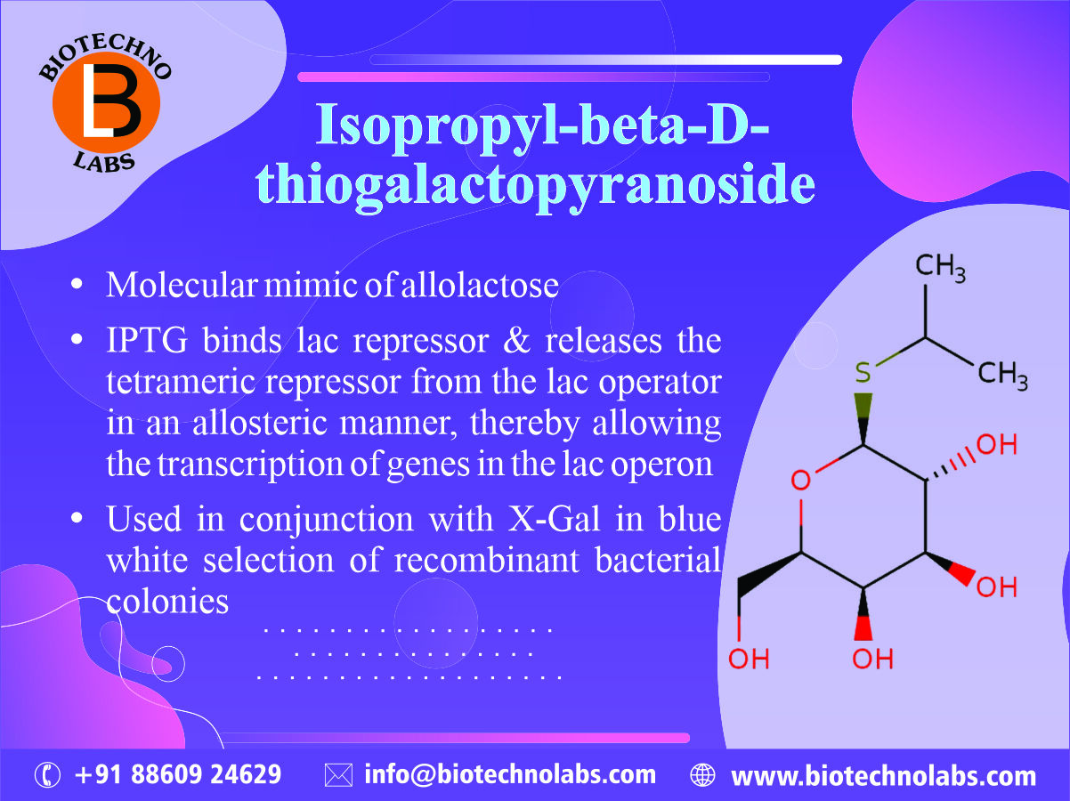 Isopropyl β-d-1-thiogalactopyranoside (IPTG)