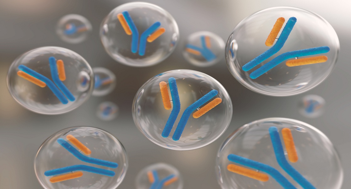 Antibodies Supplier