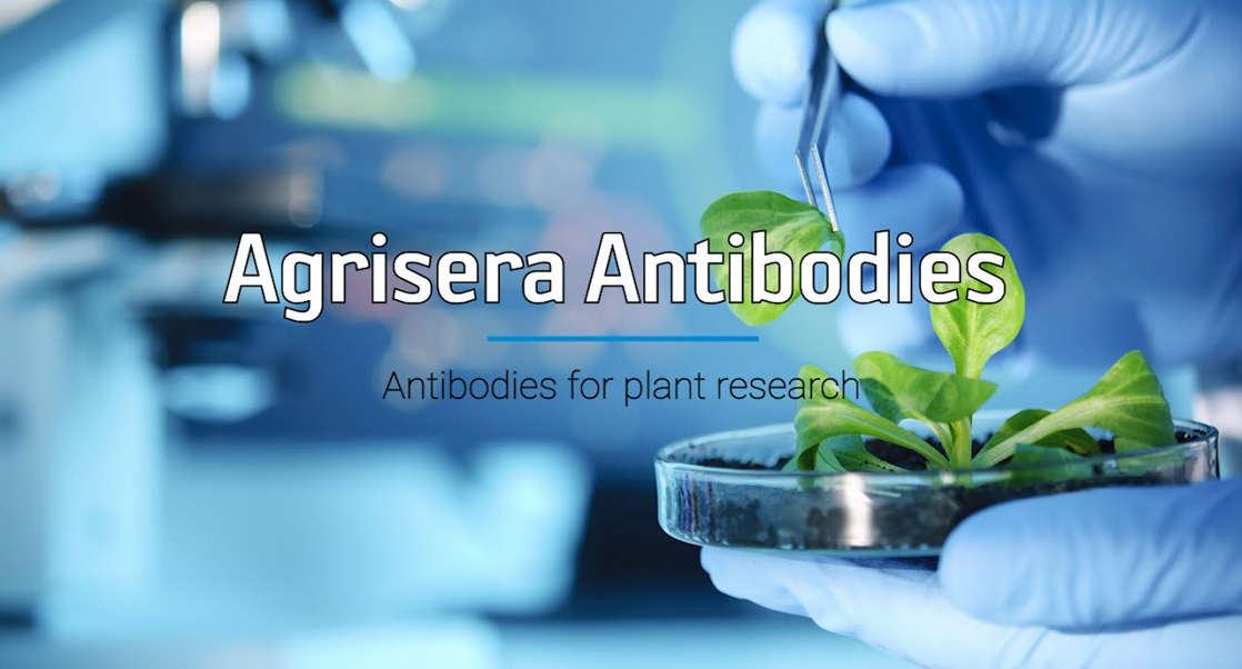 Why Agrisera?