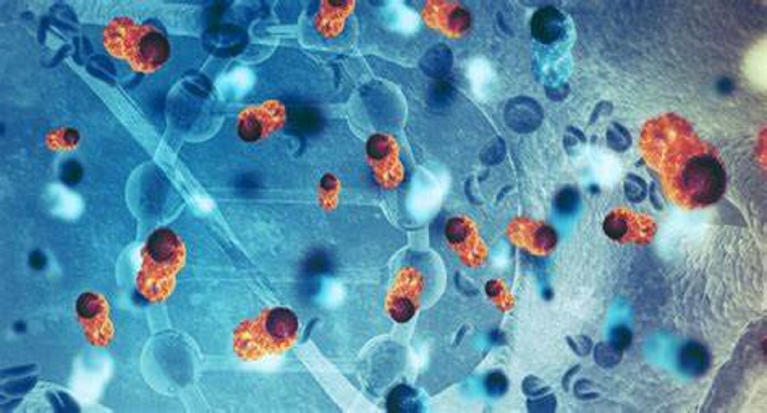 New Approaches in Cancer Immunotherapy