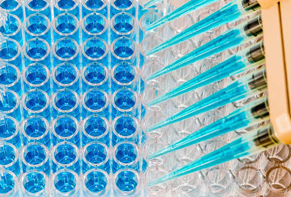 BTL Biotechno Labs Pvt. Ltd.: A Trusted Partner for Cytokine ELISA Kits in India
