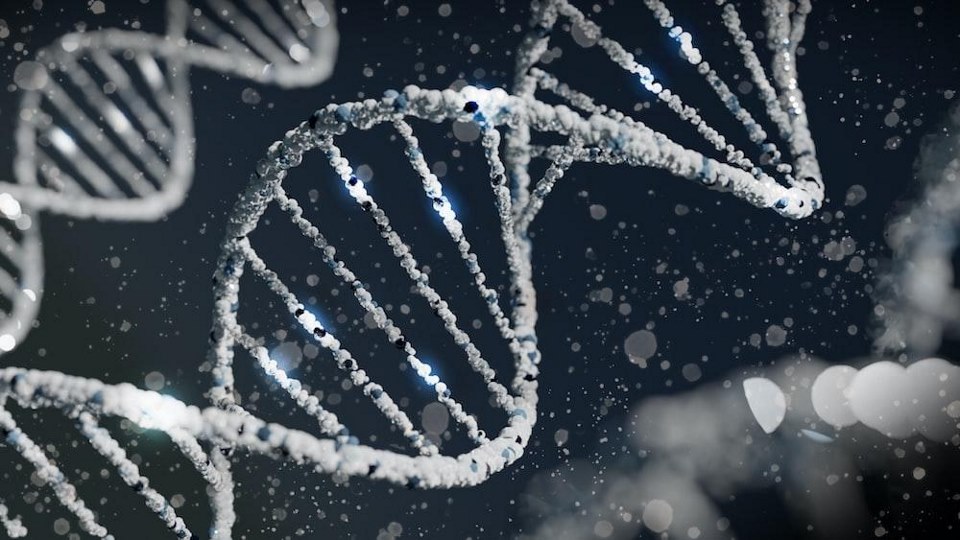Recombinant Proteins: Enhancing Research with High-Quality Proteins