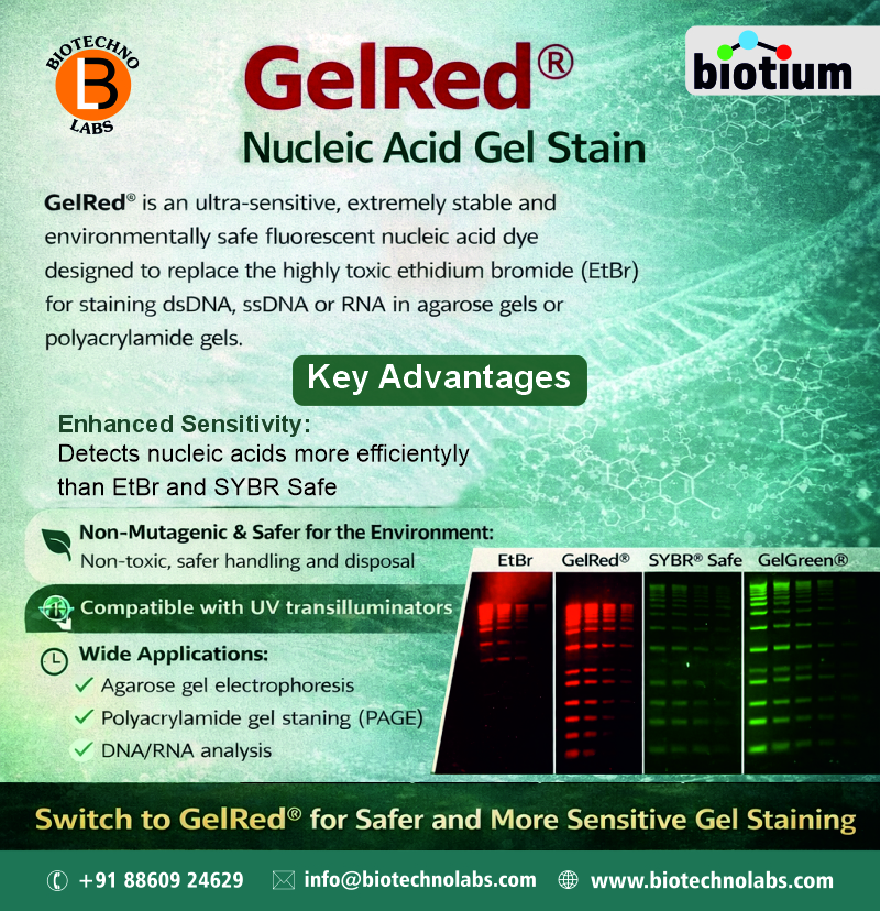 🔬 GelRed® Nucleic Acid Gel Stain|BTL Biotechno Labs Pvt Ltd: A Leading Supplier in India