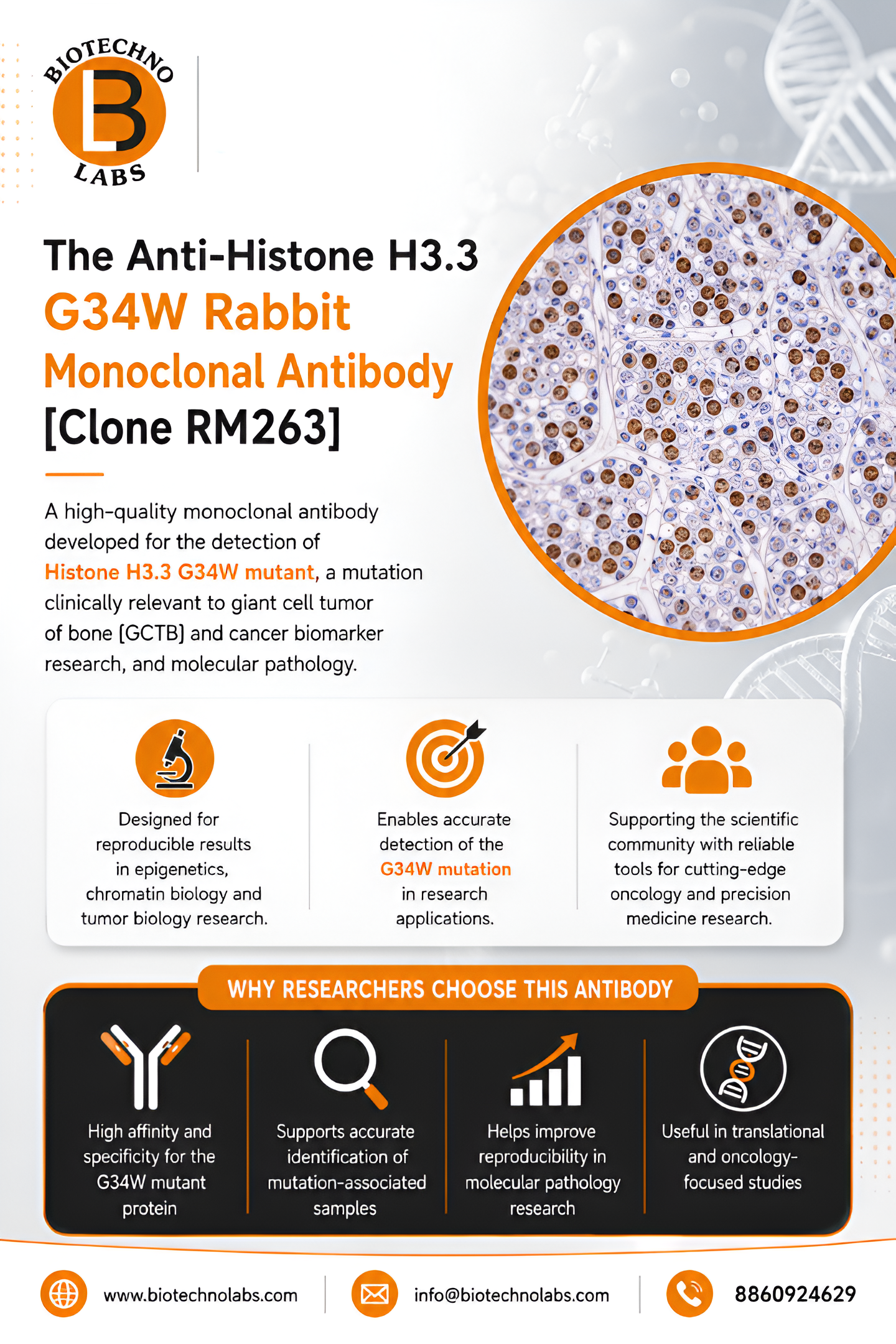 Precision Detection of Histone H3.3 G34W Mutations: Applications of Clone RM263 in Oncology Research