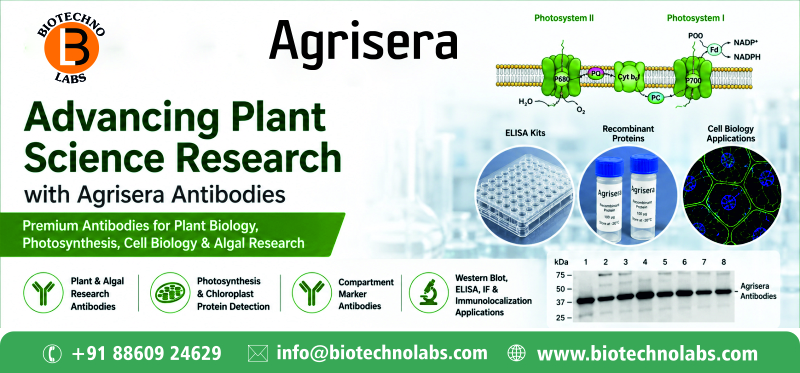 BTL Biotechno Labs Pvt. Ltd. – Authorized Distributor of Agrisera Plant Science Research Products in India