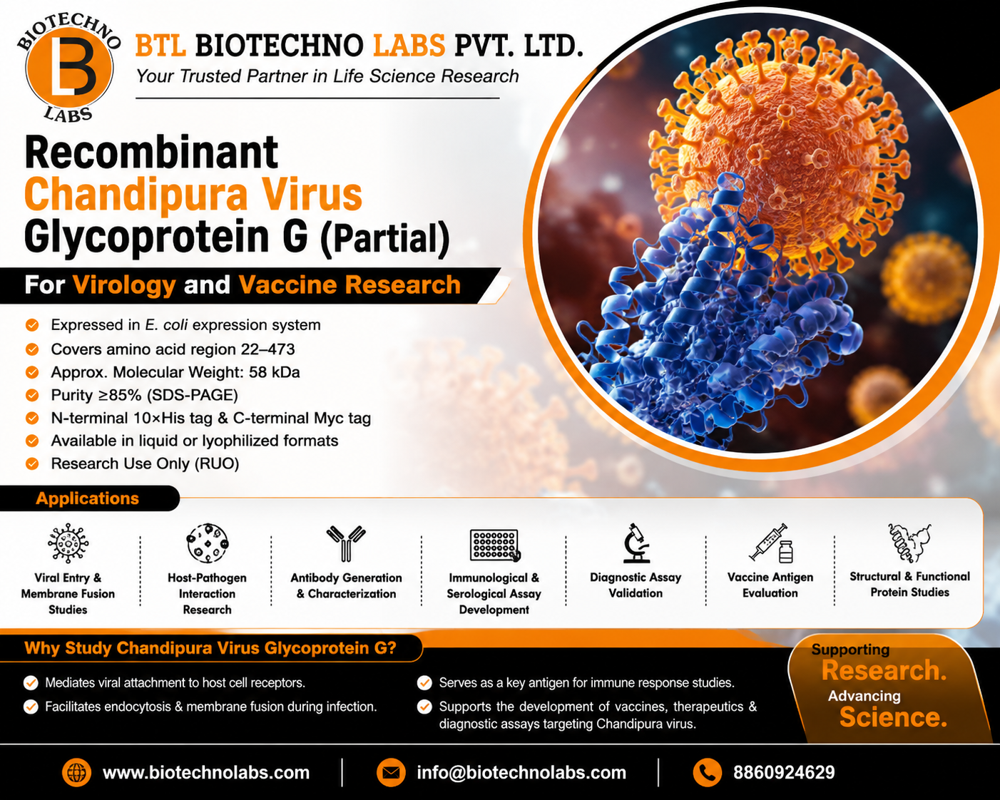 Recombinant Chandipura Virus Glycoprotein G (Partial) for Virology and Vaccine Research|BTL Biotechno Labs Pvt Ltd