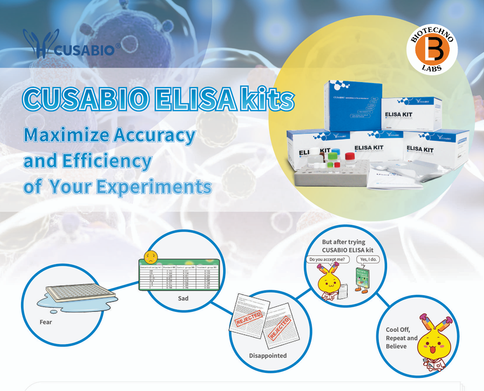 Hot selling CusaBio's ELISA kits