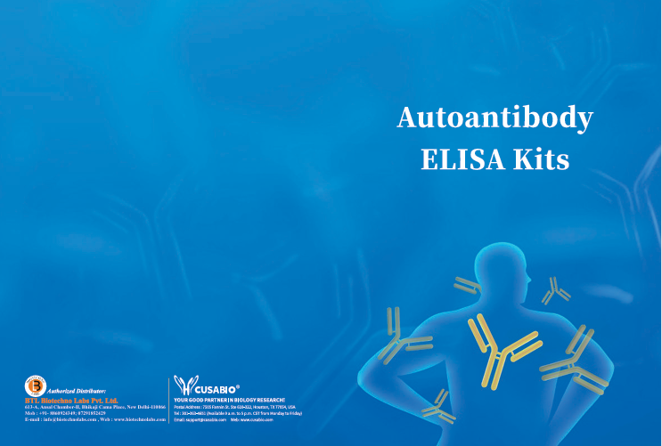 Autoantibody ELISA Kits