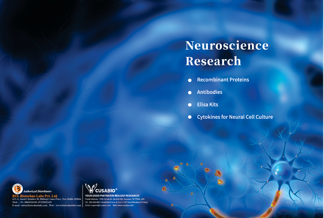 Neurological Diseases and Popular Research Targets