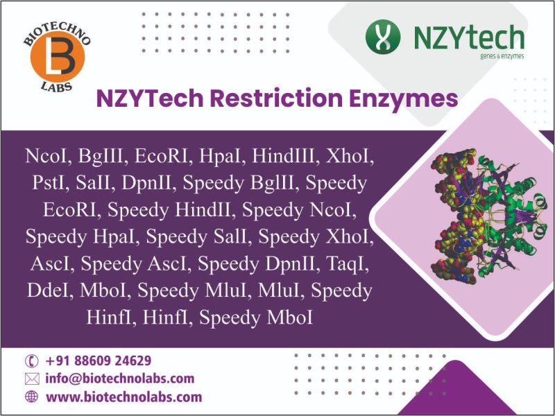 NZYTech Restriction Enzymes