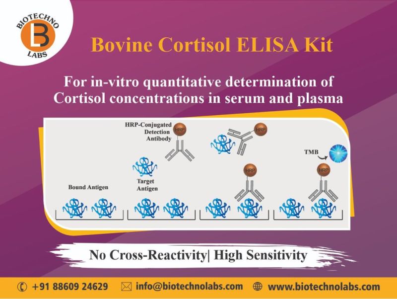 Bovine Cortisol ELISA Kit