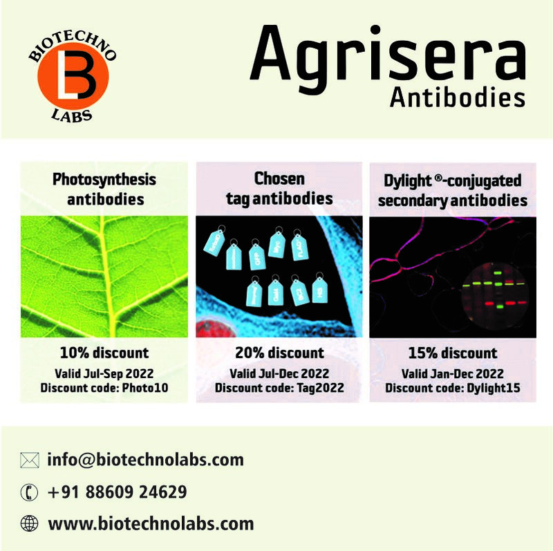 Agrisera Antibodies