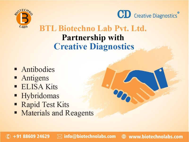 Creative Diagnostics