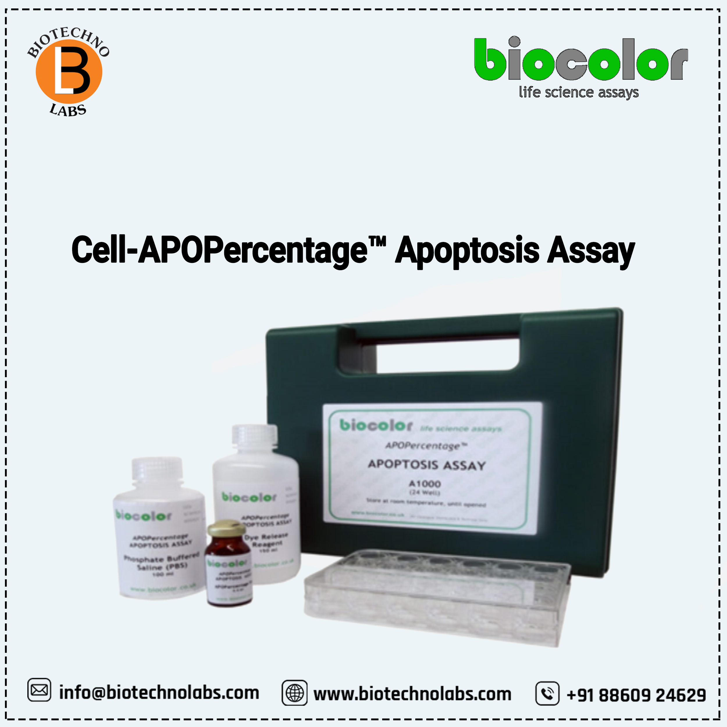 Cell-APOPercentage™ Apoptosis Assay