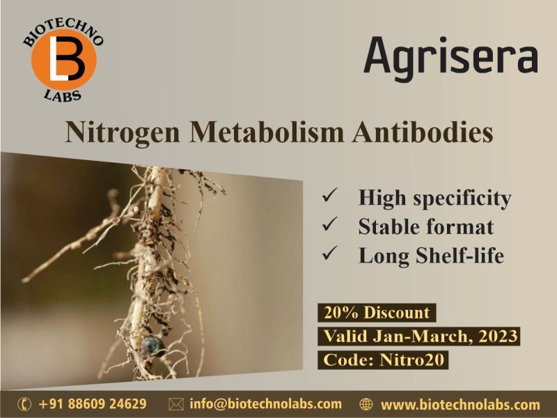 Nitrogen Metabolism Antibodies