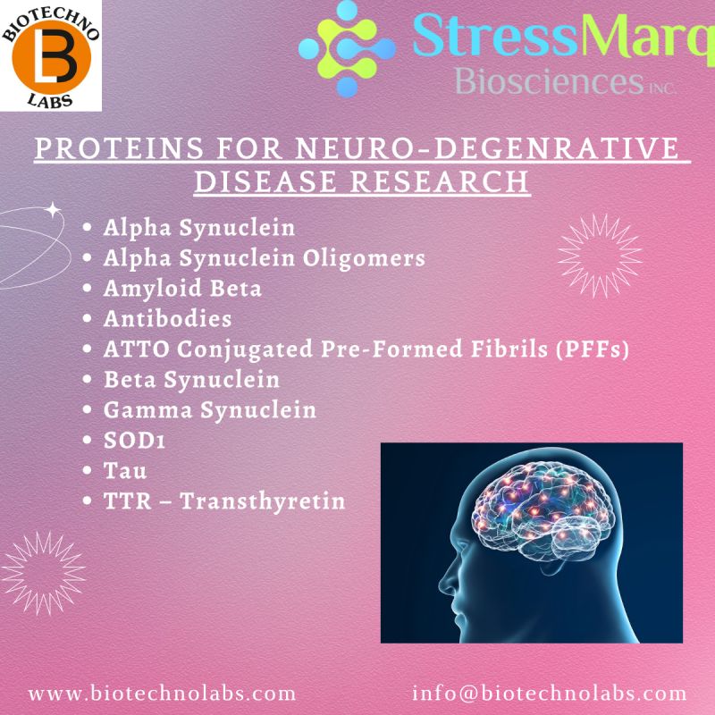 Proteins For Neuro-Degenrative Disease Research