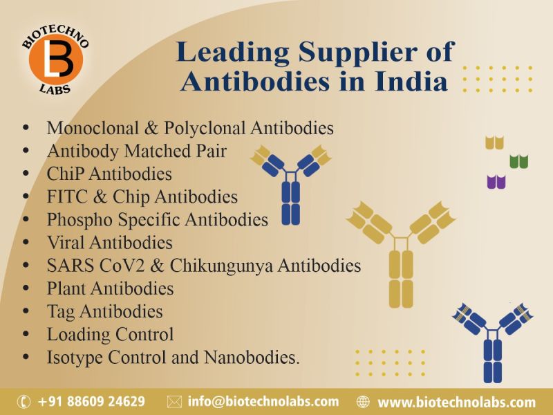 Leading Supplier of Antibodies in India