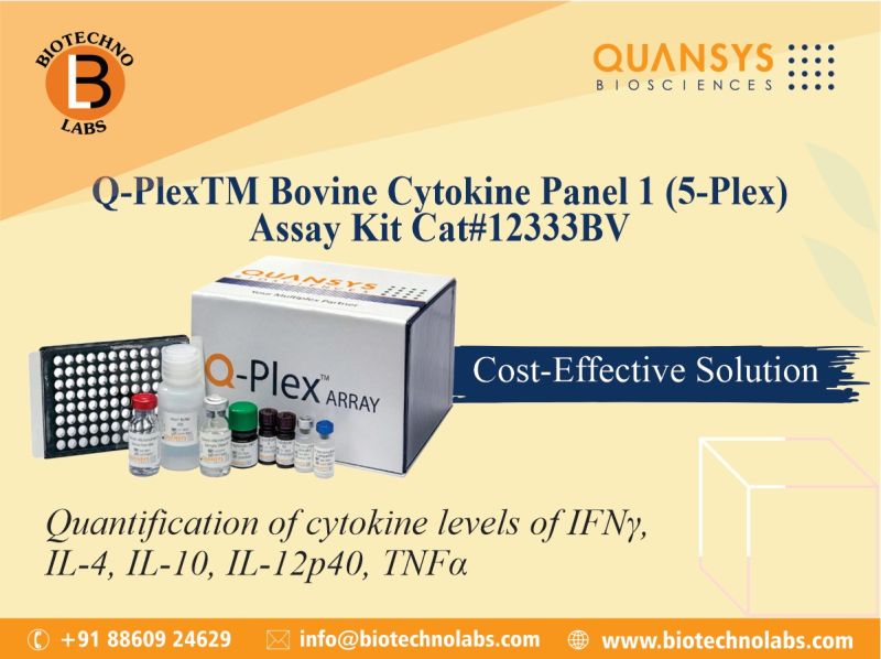 Q-PlexTM Bovine Cytokine Panel 1 (5-Plex) assay kit, Cat#12333BV