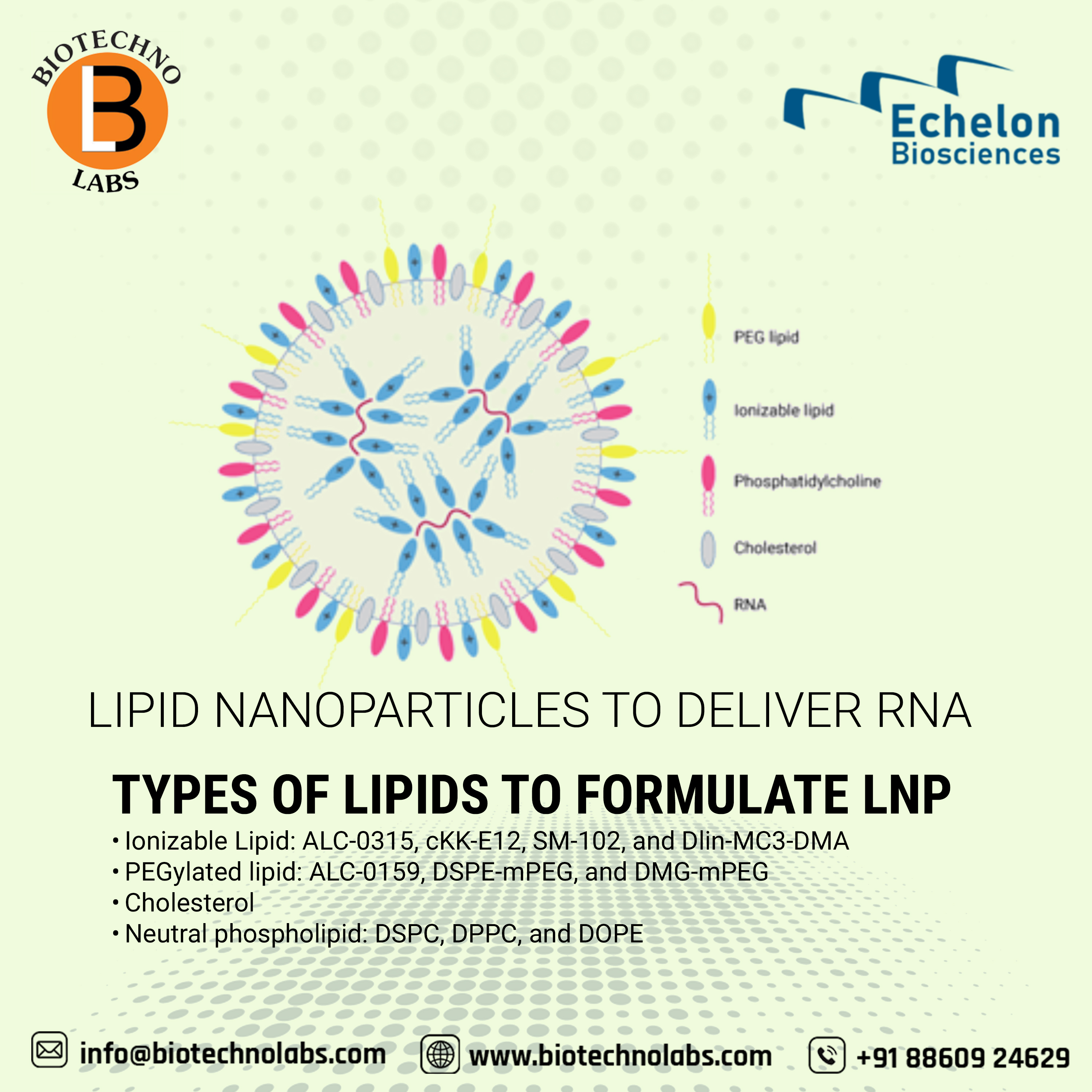 Biotechno Labs are here to assist you in your RNA delivery related experiments