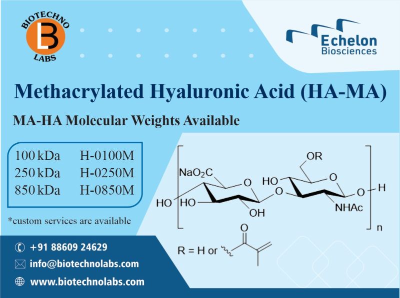 Methacrylated Hyaluronic Acid (HA-MA)