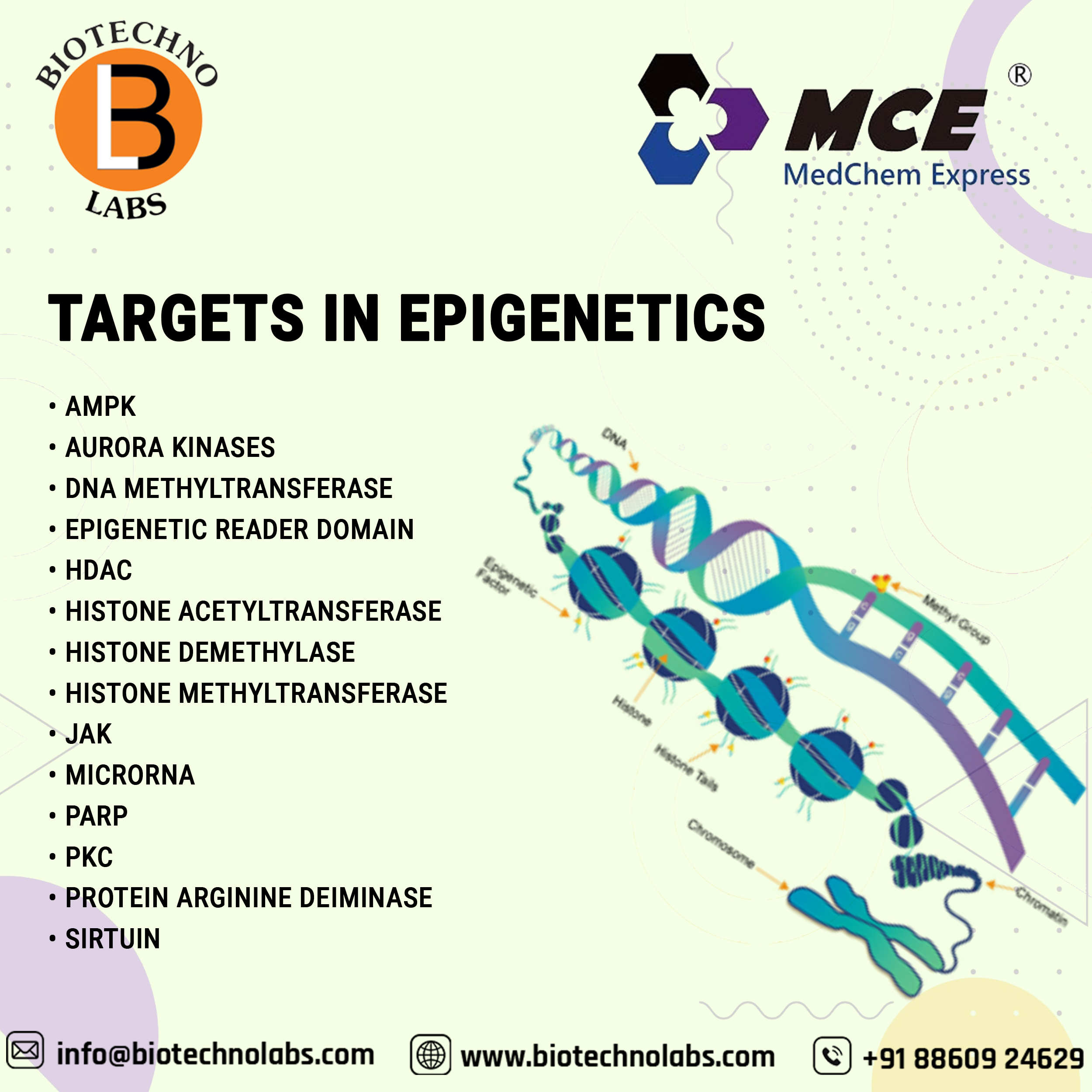 Targets in Epigenetics