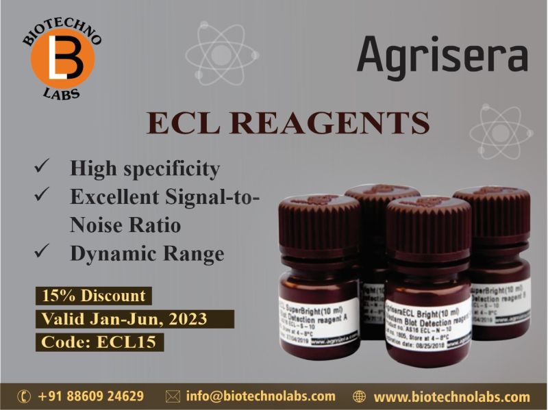 ECL Reagents