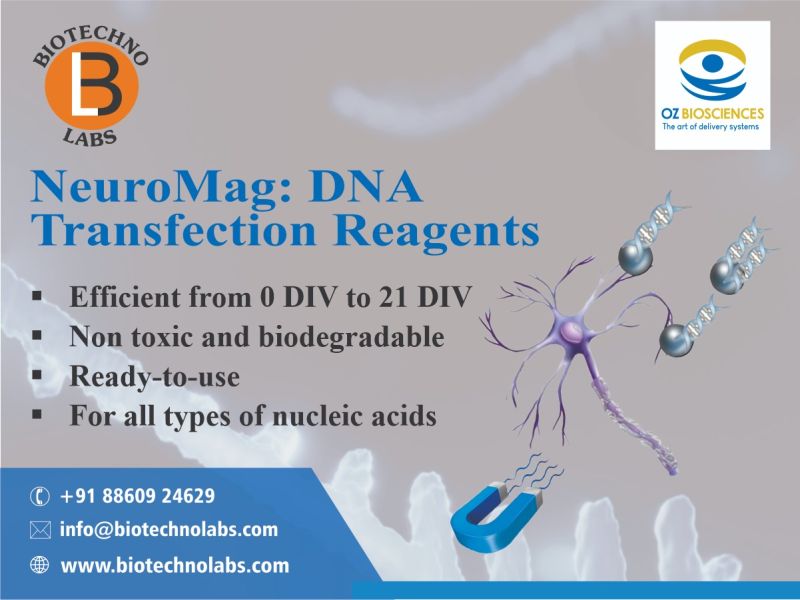 NeuroMag: DNA Transfection Reagents