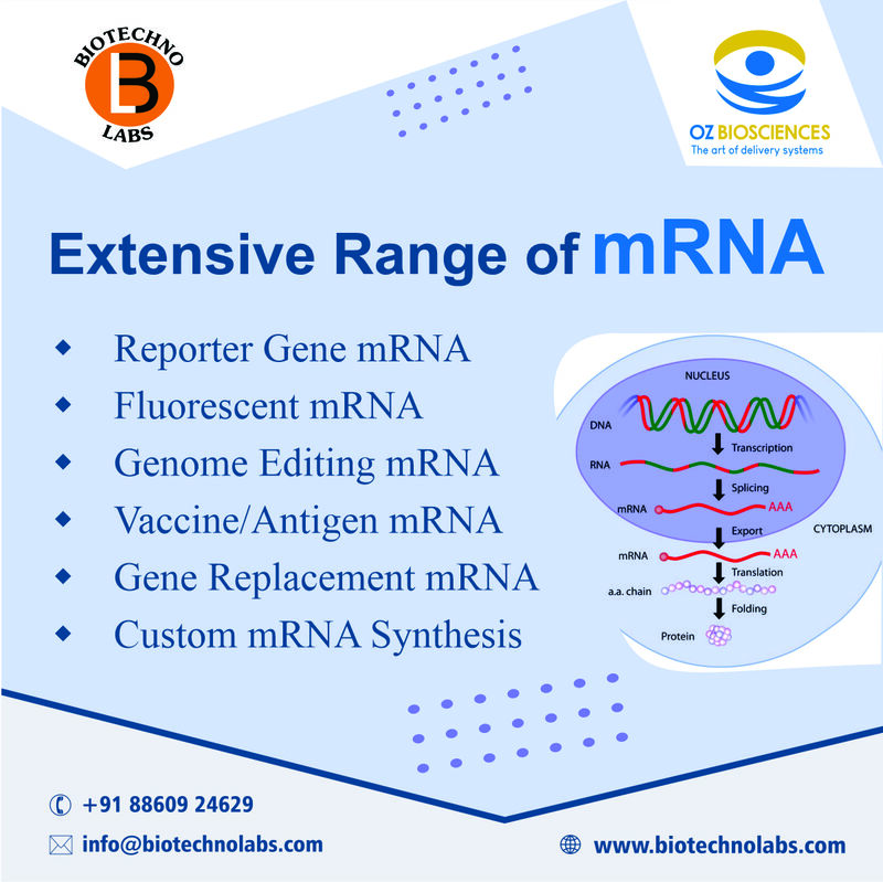 Extensive Range of mRNA