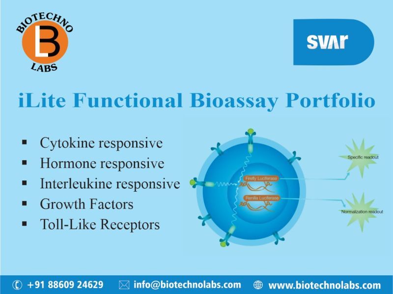 iLite Functional Bioassay Portfolio
