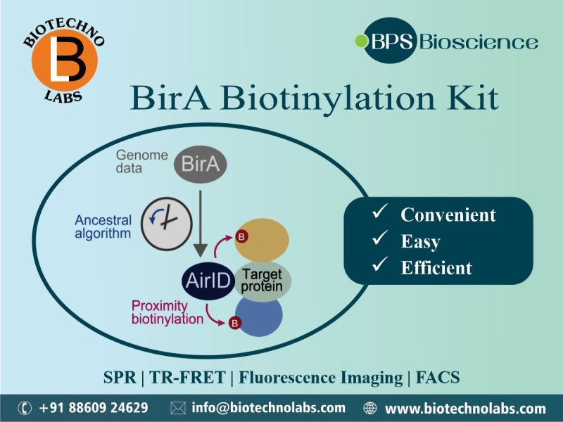 BirA Biotinylation Kit