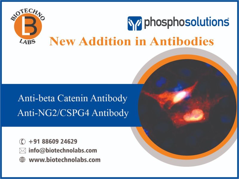 New Addition in Antibodies
