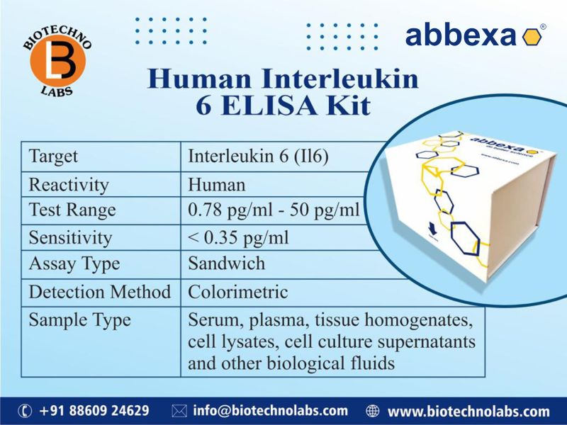 Human Interleukin 6 ELISA Kit