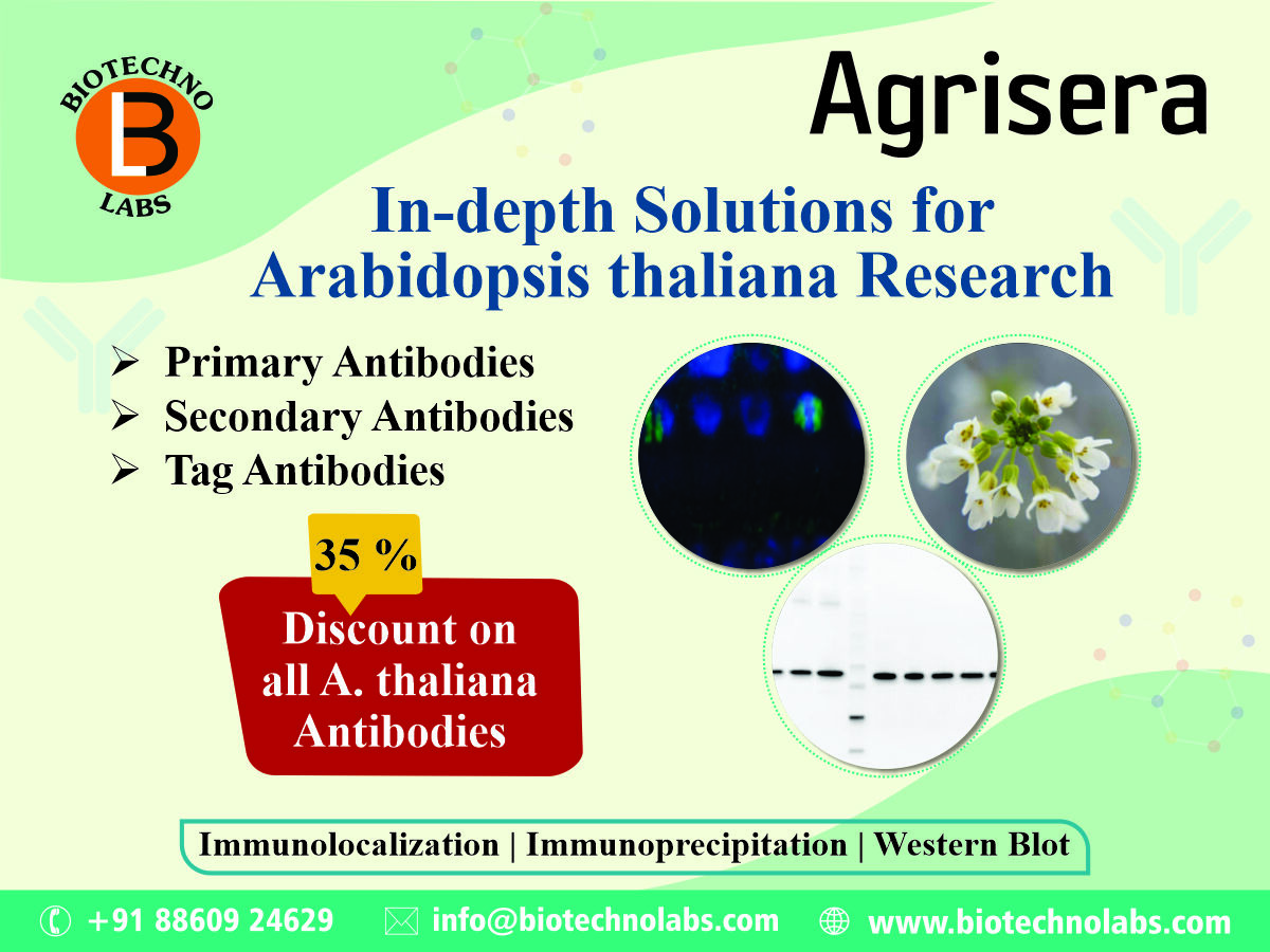 In Depth Solution for Arabidopsis Thaliana Research