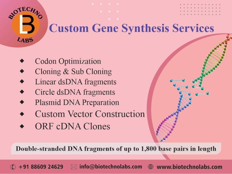 ⭐Accelerate Your Research with Custom Gene Synthesis!