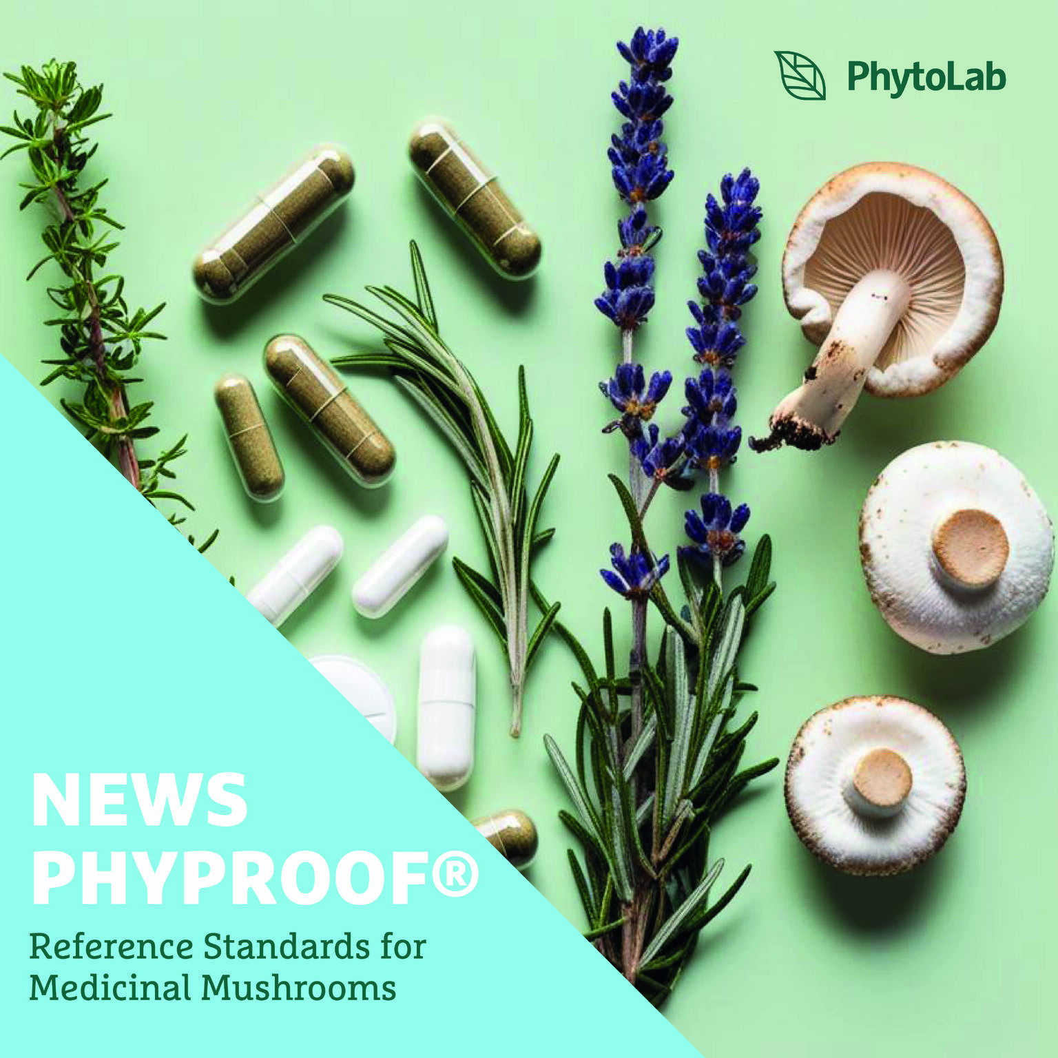 🌿 New phyproof® Reference Standards for Medicinal Mushrooms! 🔬