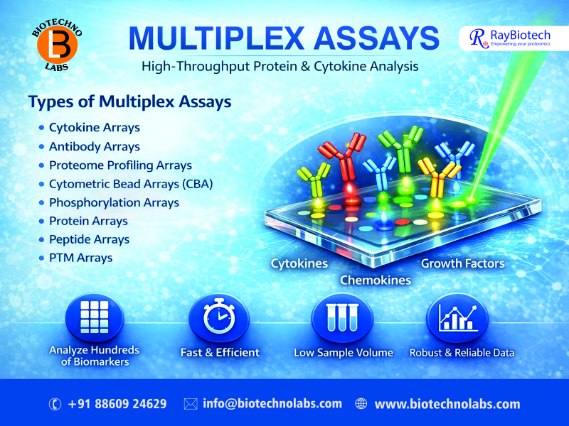 🔬 #MultiplexAssays by RayBiotech