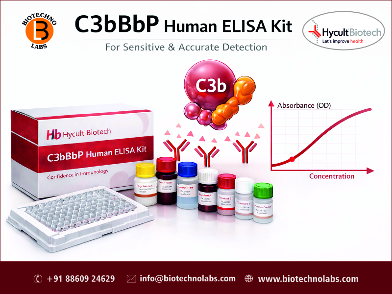 🔬 C3bBbP Human ELISA Kit by Hycult Biotech