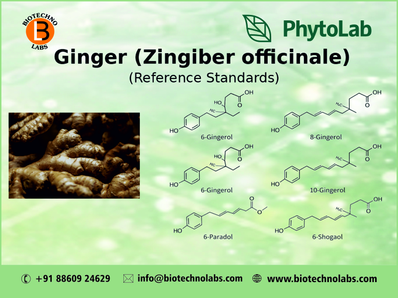 🌿 BTL Biotechno Labs Pvt. Ltd. – Authorized Distributor of PhytoLab in India