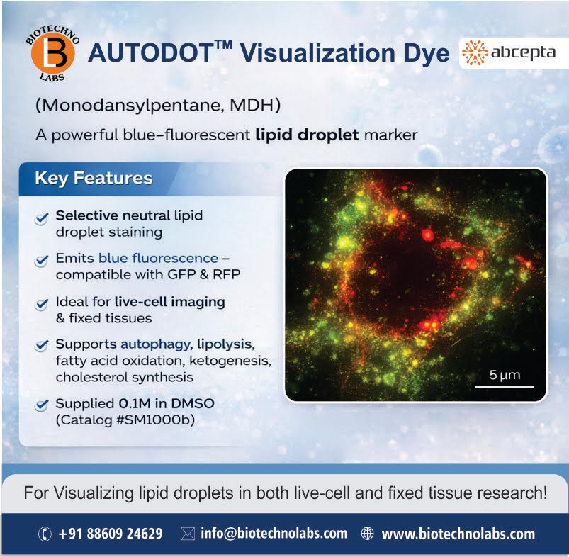 🔬 Advanced Lipid Droplet Visualization Dye
