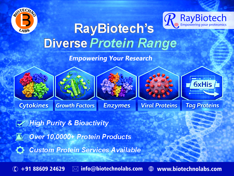 BTL Biotechno Labs Pvt Ltd- a Leadind supplier of RayBiotech's High Quality Protein Range in India