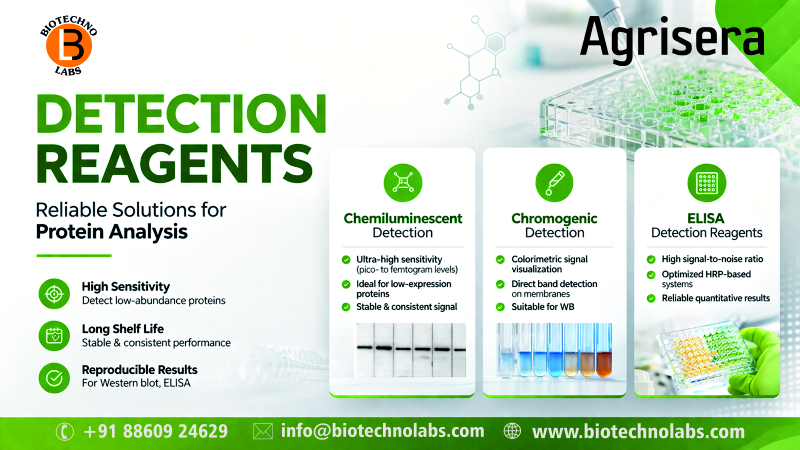 BTL Biotechno Labs Pvt Ltd- a Leading supplier of Agrisera's Detection Reagents in India