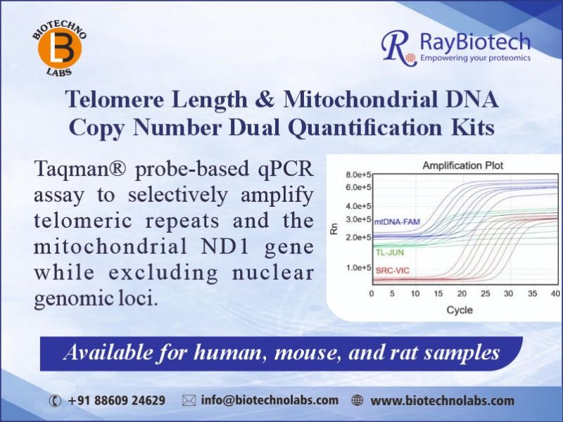Telomere Length and Mitochondrial DNA Copy Number Dual Quantification Kits