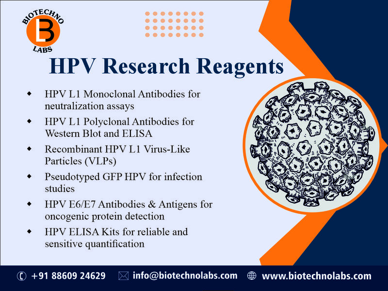 HPV Antibodies and Antigens Leading Supplier in India-BTL Biotechno Labs Pvt Ltd