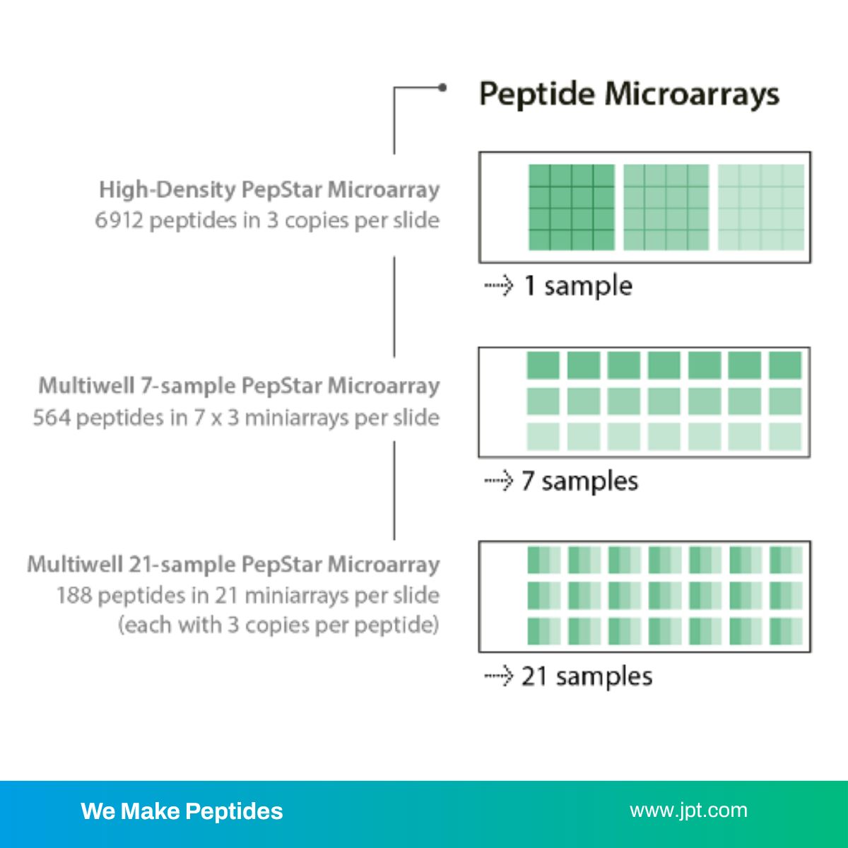 BTL Biotechno Labs Pvt Ltd-  Leadind Provider of Custom Peptide Services