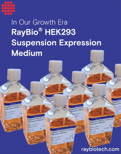 ✨ Introducing RayBiotech HEK293 Suspension Expression Medium|BTL Biotechno Labs Pvt Ltd✨